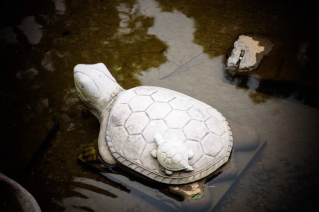 Best odds for sports betting Australia