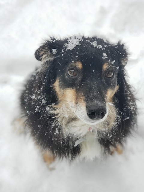 Best payment options for Aussie sports bettors