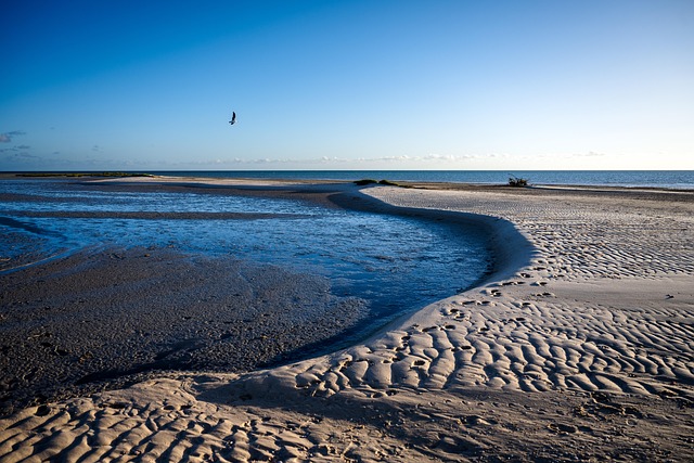 Best payout pokies Australia