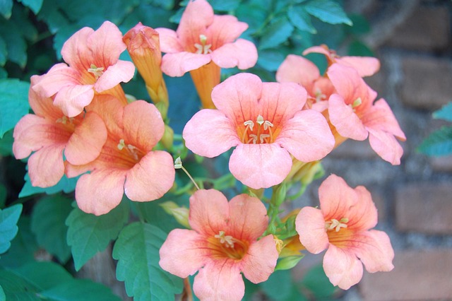 Best pokies for Aussies