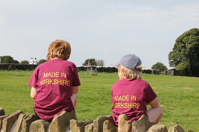 Betting on Australian cricket events 2024