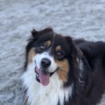 Betting Australian Open 2024: Low Minimums, Big Fun