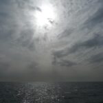 Betting on Australian Open 2024: Top Sites & Strategies