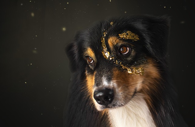 Betting strategies for Aussie sports fans