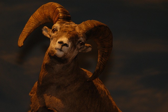 Big win casinos Australia