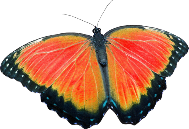 Casino sites without wagering requirements