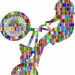 Exclusive Aussie Tips: Unlocking VIP Rewards in Sports Betting