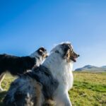 Unleash Profits: Exclusive Sports Promotions for Aussie Betters