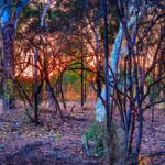 Unleash Aussie Sports Betting Bonuses: Exclusive Deals Unveiled