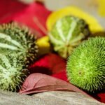 Unleash Profits: Aussie Sports Fans’ In-Play Bonus Guide