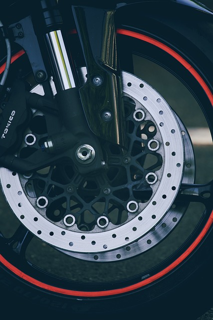 Exclusive sports betting free spins Australia