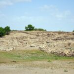 Unleash Quick Wins: Top Fast Payout Sports Betting Sites Australia