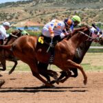 Fast Payout Sports Betting: Australia’s Trusted Brands Revealed