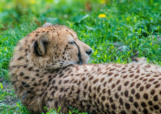 Fastest payout casinos Australia