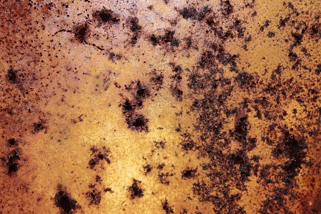 Free spins no deposit Australia