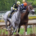 Unlock Free Australian Sports Betting Success Tips