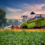 Unlock Free Australian Sports Betting Success: Picks & Strategies