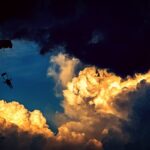 Unleash Instant Wins: High Payout Sports Betting Sites Australia