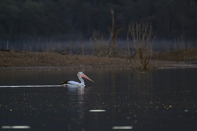 High-roller casinos Australia