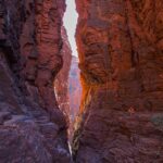 Secure Payments for High-Stake Australian Sports Bets