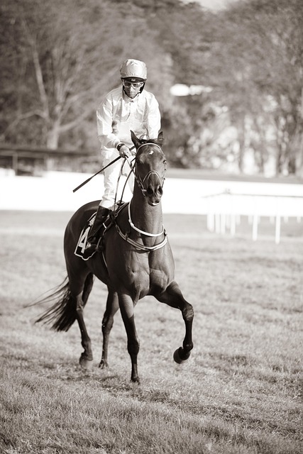 Horse racing tips for Australian punters