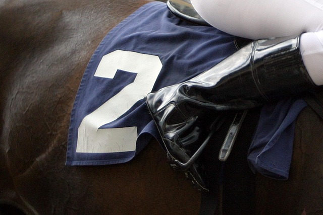 Horse racing tips for Australian punters