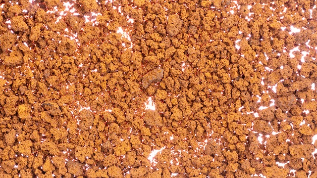 Instant withdrawal casinos Australia