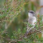 Secure Mobile Gaming: Payment Integration for Australian eSports Fans