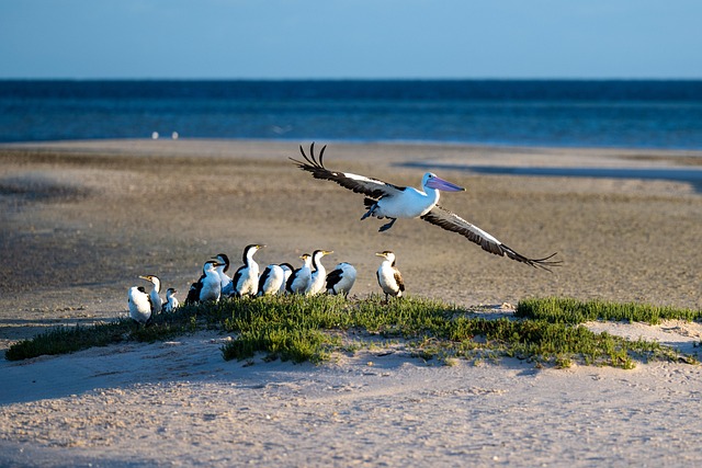 No deposit pokies Australia