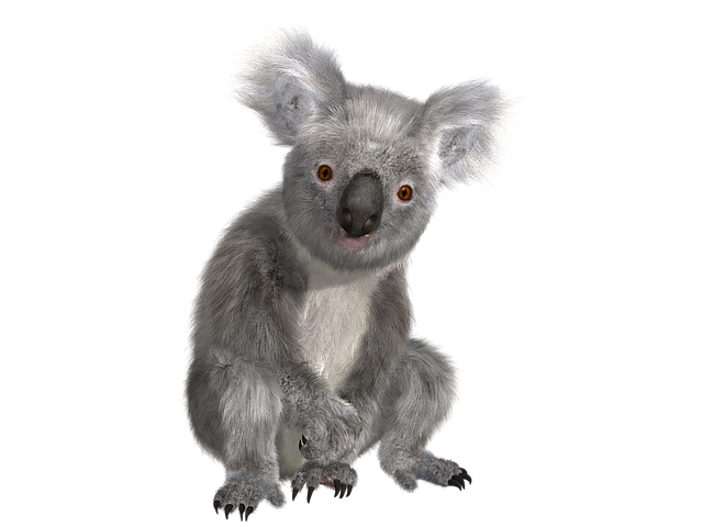 NRL live betting tips Australia