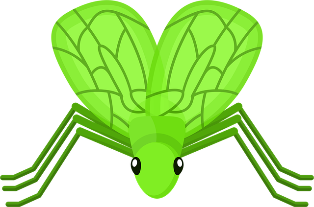 Online betting on cricket Australia