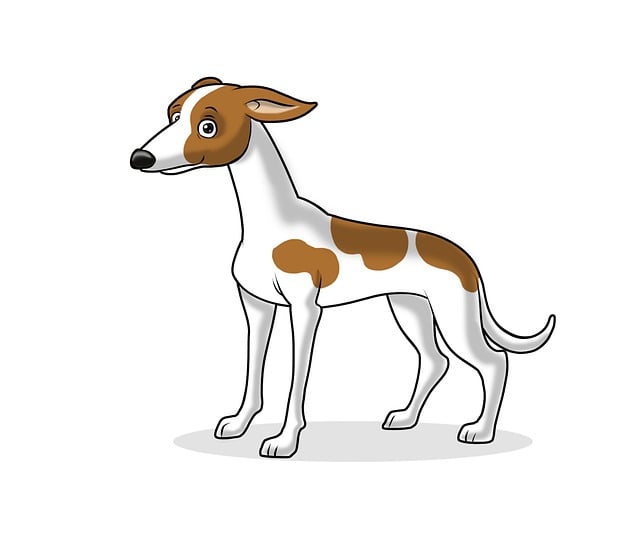 Online greyhound betting Australia