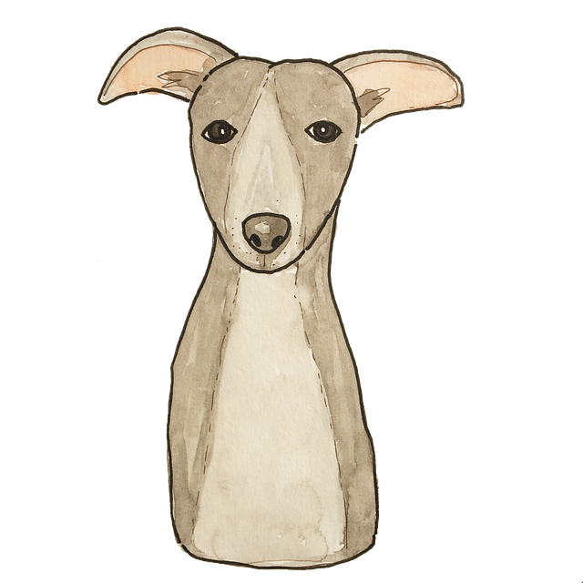 Online greyhound betting Australia