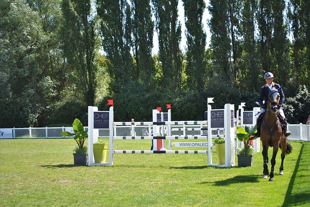 Online horse racing betting Australia