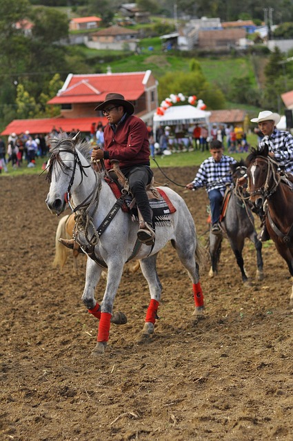 Online horse racing betting Australia