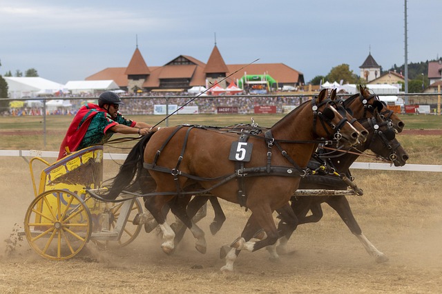 Online horse racing betting Australia