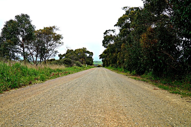 Online pokies no registration Australia