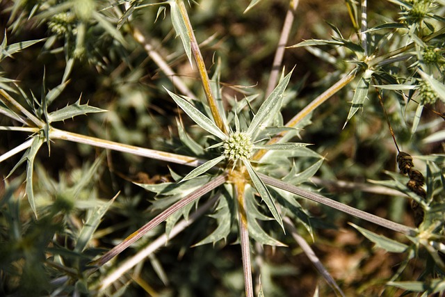 Online scratchies Australia