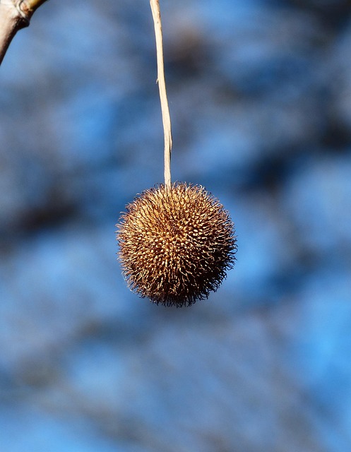 Online scratchies Australia