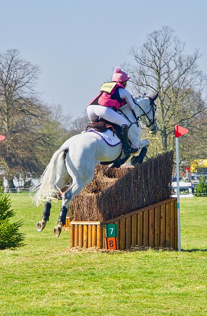 Popular Australian sports events for betting