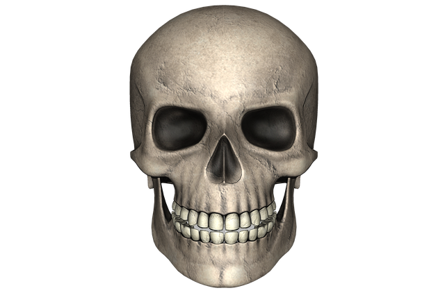 Popular Australian sports with high betting odds