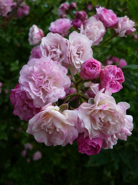 Popular progressive jackpots Australia