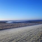 Unleash Australia’s High Payout Sports Betting Secrets