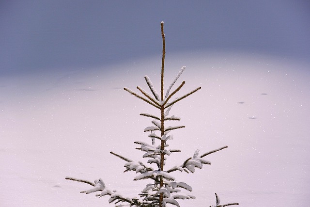 Top betting tips Australia