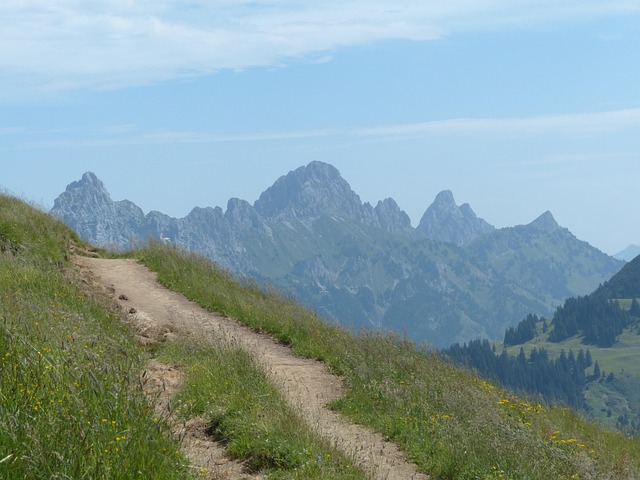 Top betting tips Australia