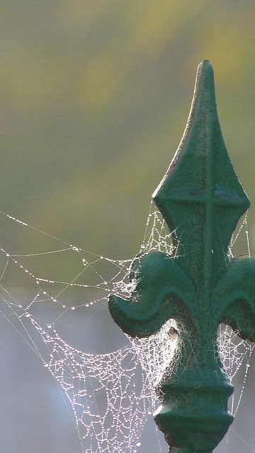 Top betting tips Australia