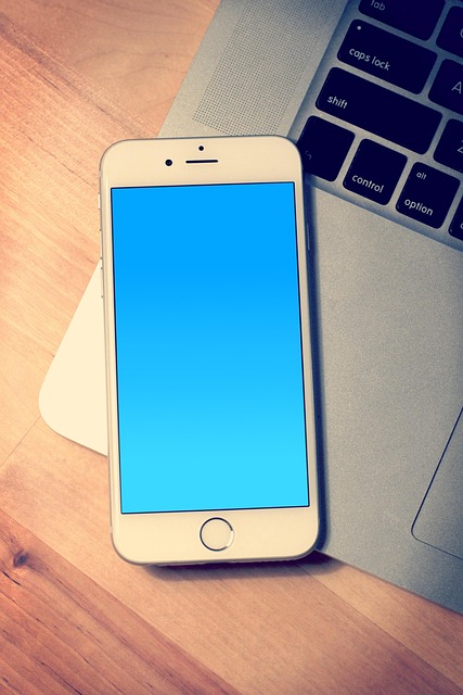 Top-rated mobile apps for live sports betting