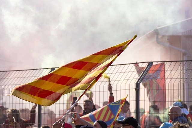 Top rugby betting sites Australia