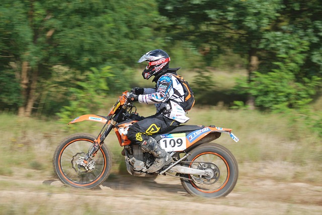 Top sports betting platforms for Australian players