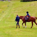 Unleash Australian Horse Racing’s High-Odds Potential: Trusted Sites & Strategies